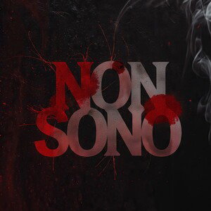 NON SONO(feat.CapriGeco)