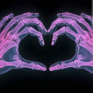 Xraylove x