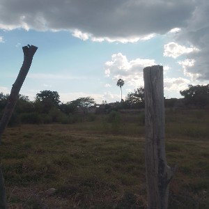 san Isidro Mazatepec 