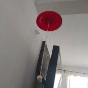 plasma de la visión 