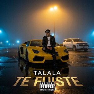 TE FUISTE 