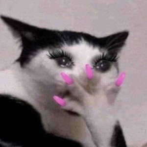 I step in the room and the lights start blinkin’,