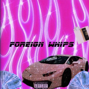 Foreign Whips