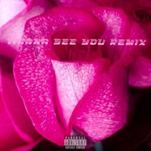 Wanna See You Remix