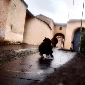 ora parlo io
