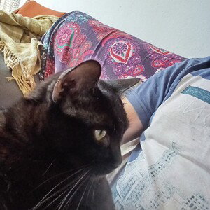Alone un the dark cat