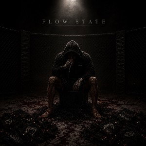 FLOW STATE