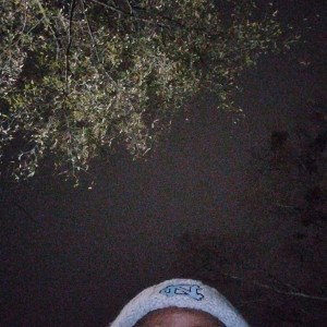 Too Far Gone