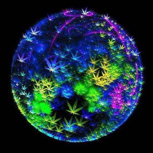 planet of the dankz Australia 