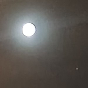 Therealesttbird - ORBITAL OUTLOOKIN (RMX by. 777) Unreleased leak
