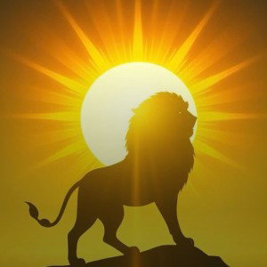 Solar Lion (Forever shine’n)