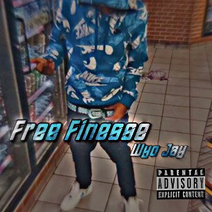 FreeFinesse