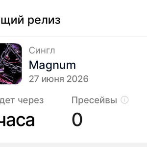 Magnum