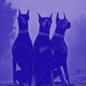 On My Mind (Slowed + Reverb)