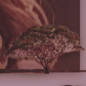 Vida de Colores × SamplesSimples (beat produced for @Harrygotbeats)