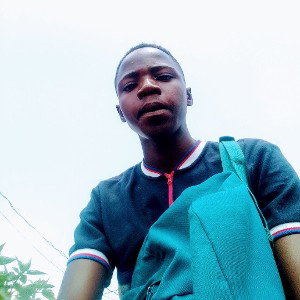 Wolve STM - let me tell you about my self 