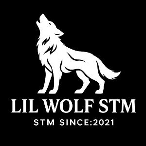 Wolve STM -gyaphanda freestyle 