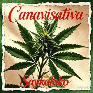 Canavisativa 