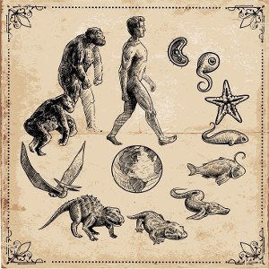 (Rap consciencia) que Les dan, Discernimiento Irracional.