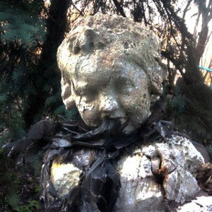 полюбить жизнь