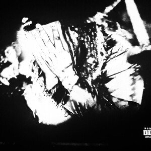 Guiro Instrumental 
