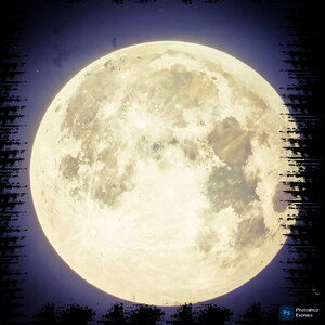 Go to the moon 