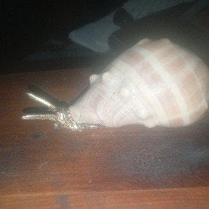 golden snail... mad hatters...............