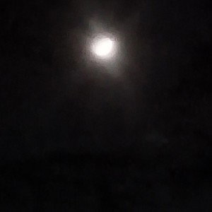  Dark Night Why?