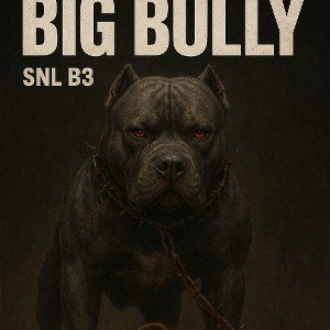 SNL B3 BIG BULLY