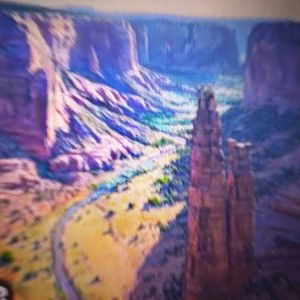 Bloundy Girl 2026 Antonio Carroll Navajo Artist 