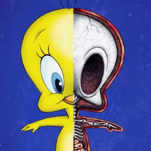Tweetie Freestyle 
