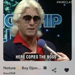 SloccSTAR - Nature ✨ Boy Django FS 🤯 