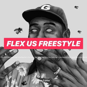 flex us freestyle 
