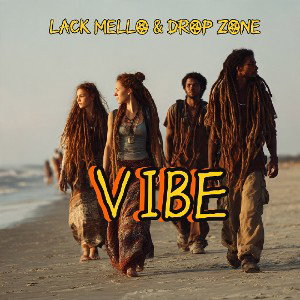 LM & DP - VIBES
