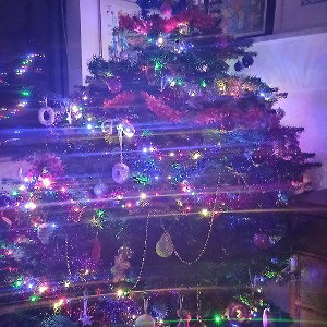 jingle bells the remix