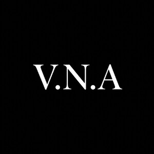 V.N.A Feat Blaze(guia)