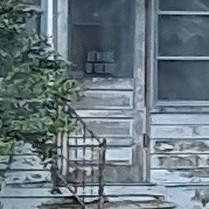 MosesLane - (missing person)