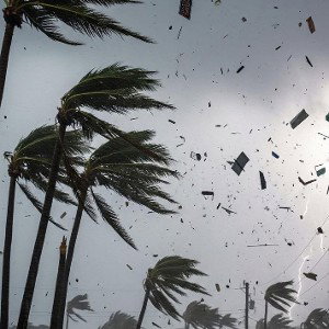 Hurricane 