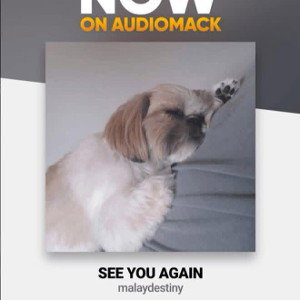 see you again