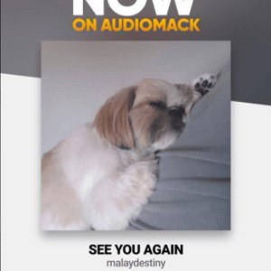 see you again