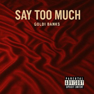 Say Too Much 