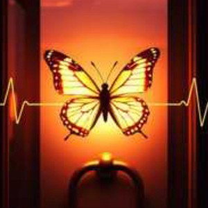 butterfly-smile