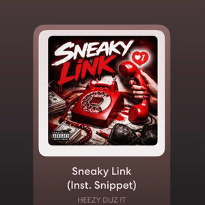 SNEAKY LINK