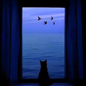 living lonely 