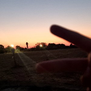 Il mio rap