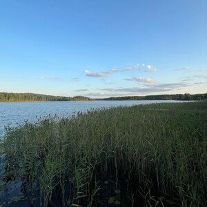 Прошлый