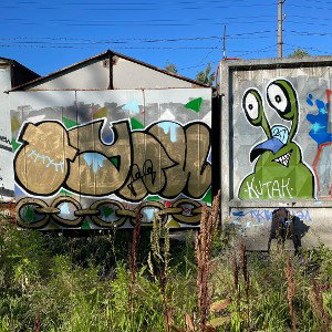 мечтатель 