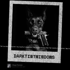 dark tint windows