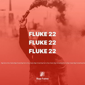 fluke 22