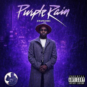 gwapbands purple_rain